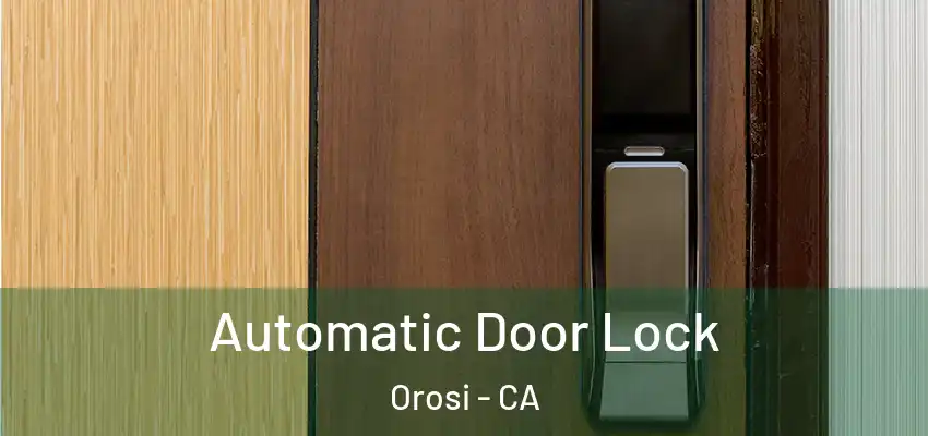  Automatic Door Lock Orosi - CA
