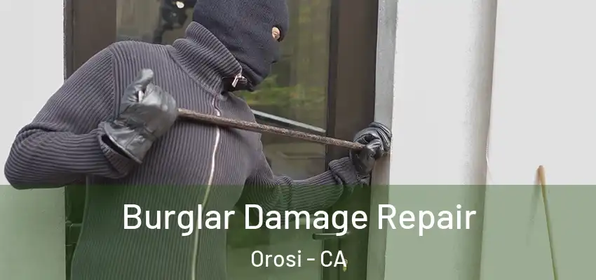 Burglar Damage Repair Orosi - CA