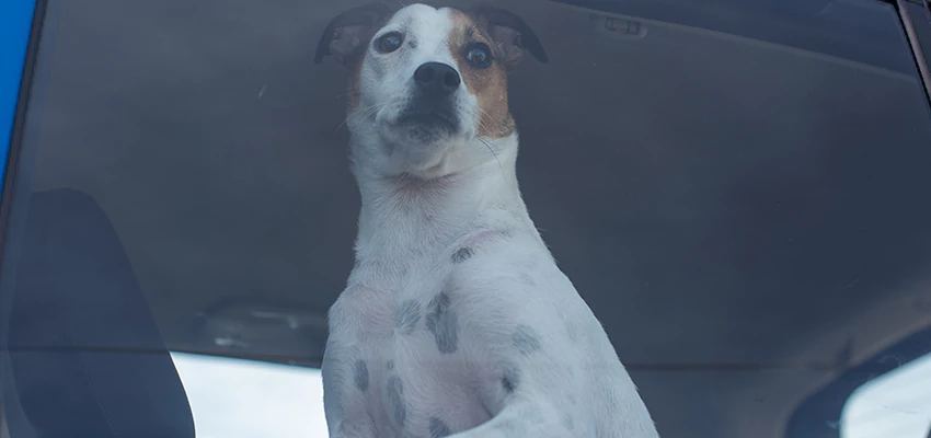 Car Lockout Solutions in Orosi, California