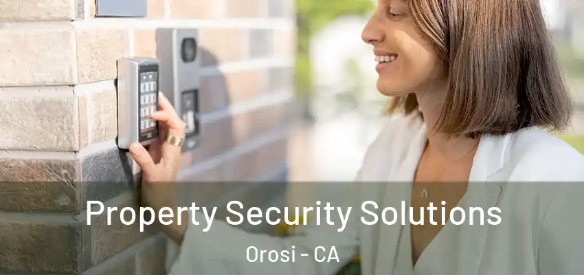 Property Security Solutions Orosi - CA