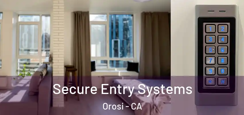  Secure Entry Systems Orosi - CA